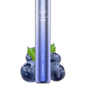 ELF BAR 600V2 Disposable 600 Sopros Blueberry 2ml